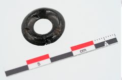 Foto von Lignitring (NHMW-PRAE-023897)